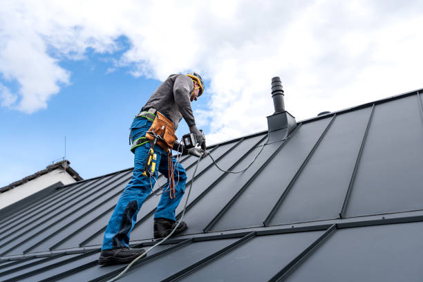 Best Skylights  in Santee, SC